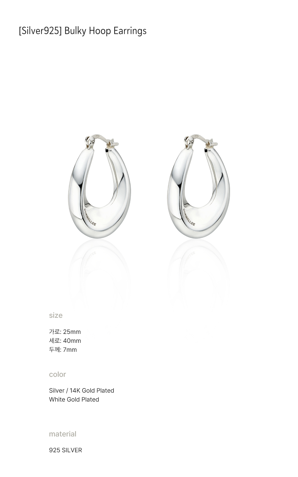 Bulky Hoop Earrings_main detail