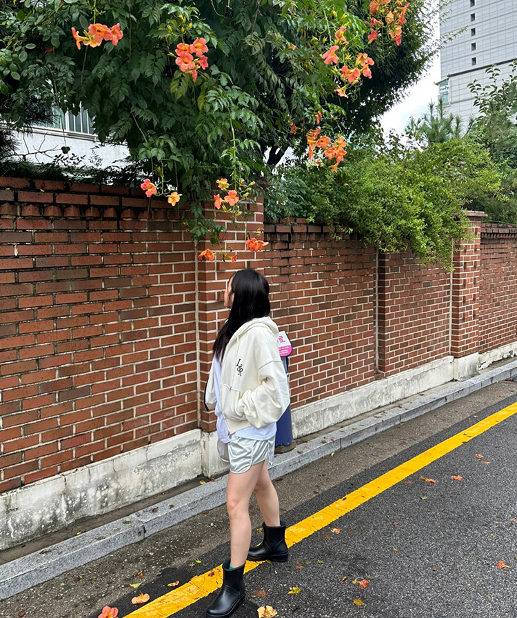 로시로우