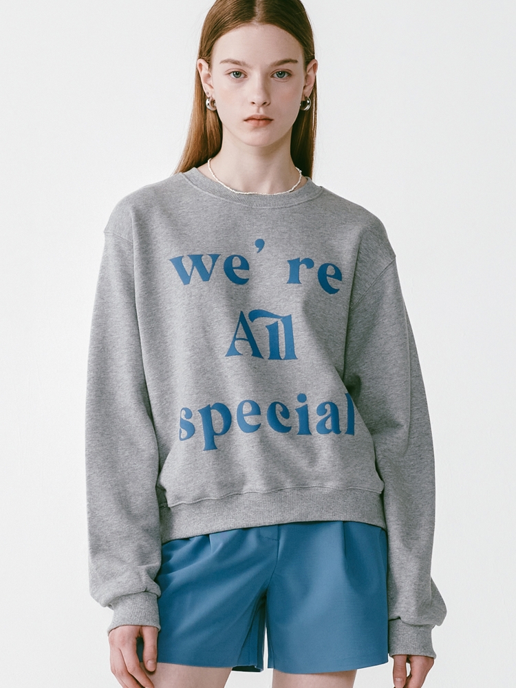 Lossy Special Sweatshirt [Melange Grey]