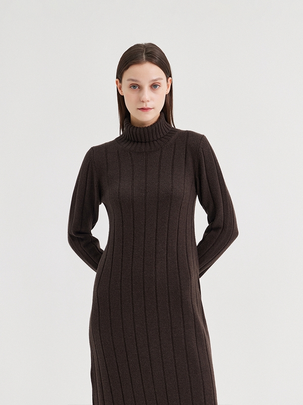 LATA WIDE RIBBED TURTLENECK DRESS_FANGO