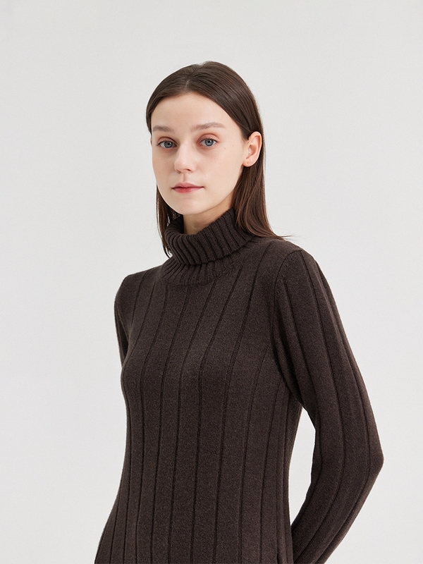 LATA WIDE RIBBED TURTLENECK DRESS_FANGO