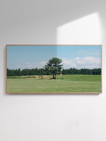 Jeju Piece 051 (800X400,1200X600(mm))