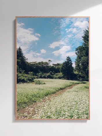 Jeju Piece 049, Kim Young Hoon (400X500, 500X700(mm))