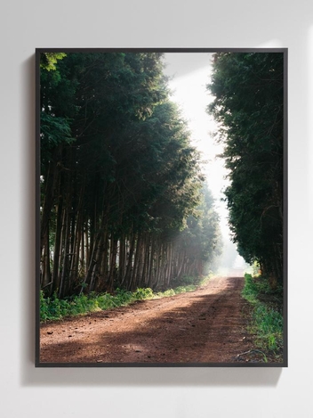 Jeju Piece 050, Kim Young Hoon (400X500, 500X700(mm))