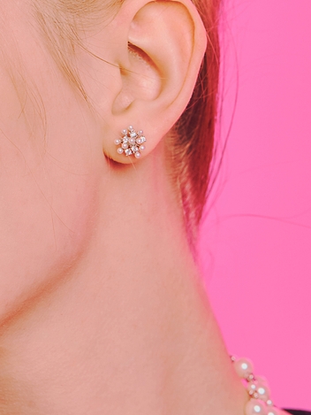 CM 1508 EARRINGS