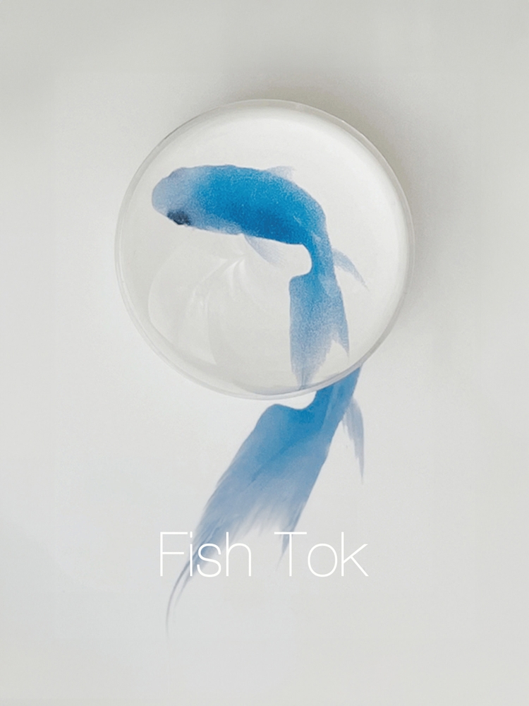 [스마트톡] Fish Tok