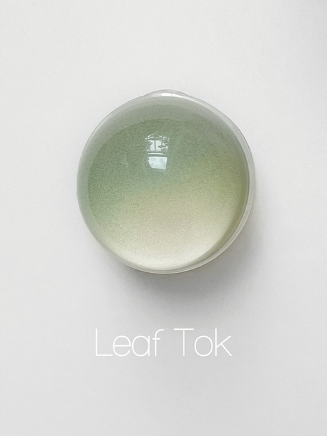 [스마트톡] Leaf Tok