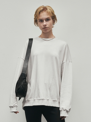 Loose-Fit Raglan Sweat Shirt (Beige)