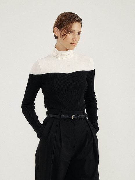 Curved Color Toning Turtleneck Sleeve (black)