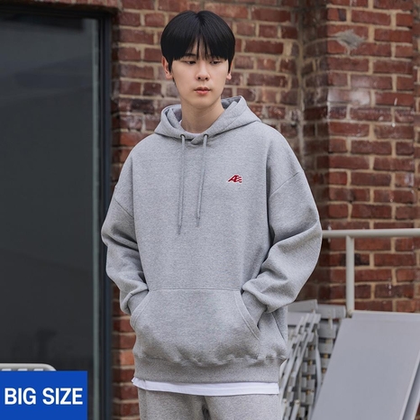 [빅사이즈] 2XL~4XL A로고 자수 오버핏 후드티 BE5743 (3 COLOR)
