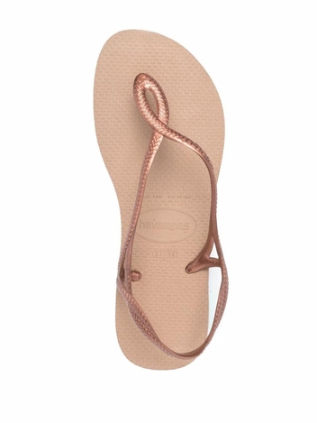 하바이아나스 Havaianas Sandals 41296975282