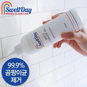 스웰데이 곰팡이제거제 250ml 10개