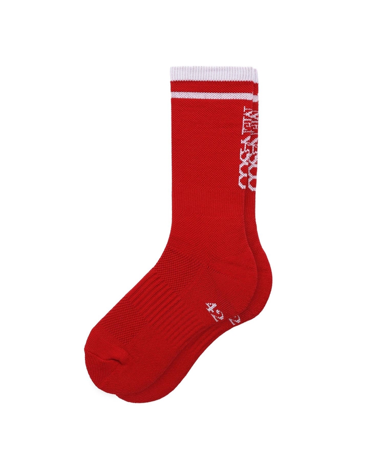 RUNNING CREW FLOGGER FIT SOCKS_LONG_RED