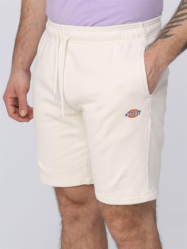 디키즈 SS23 Dickies Cotton Shorts DK0A4Y83 ECR White