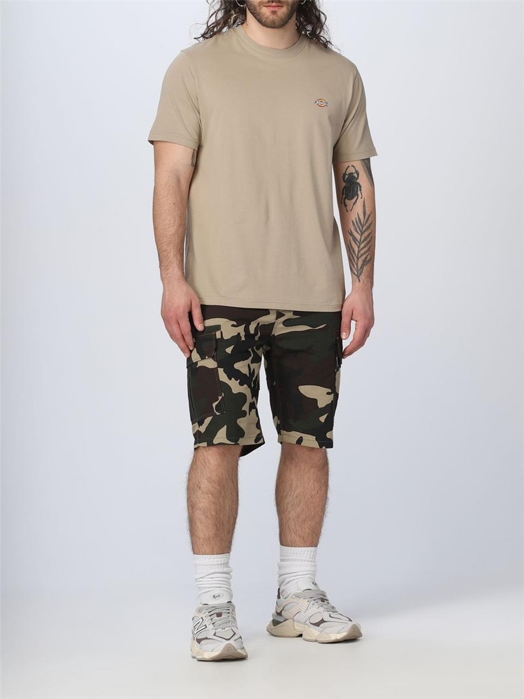 디키즈 SS23 Dickies Cotton Shorts DK0A4XED CF0 Military