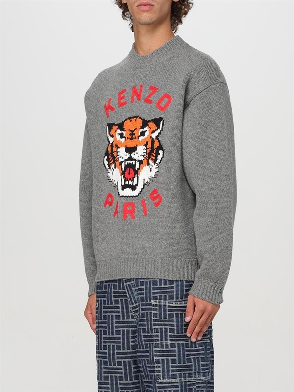 겐조 FW24 Kenzo Paris Tiger Crewneck Sweater FE68PU4773LH 97 Gray