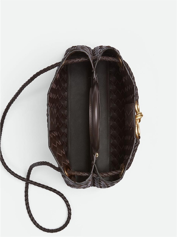 보테가베네타 FW24 Bottega Veneta Bags.. Brown 766010VCPP12272 Brown