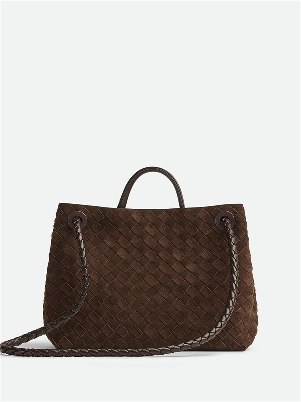 보테가베네타 FW24 Bottega Veneta Bags.. Brown 766016V1QE62272 Brown