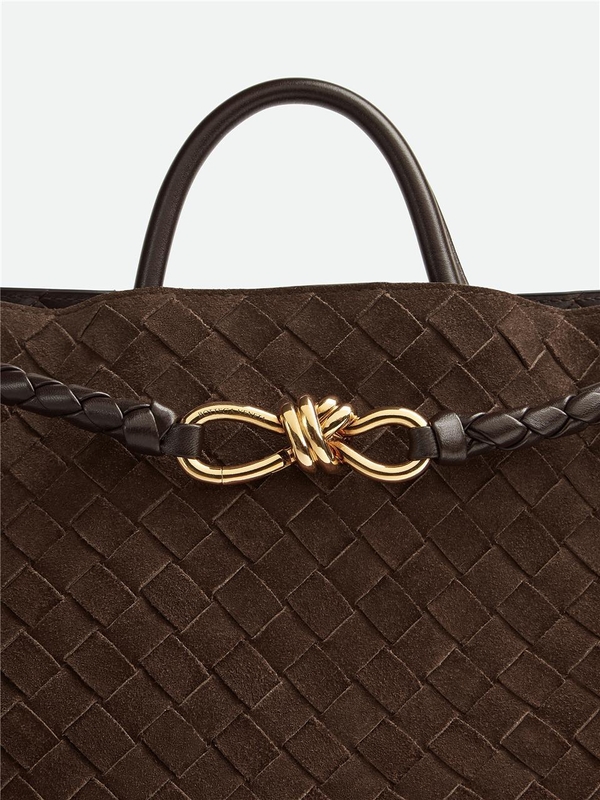 보테가베네타 FW24 Bottega Veneta Bags.. Brown 766016V1QE62272 Brown