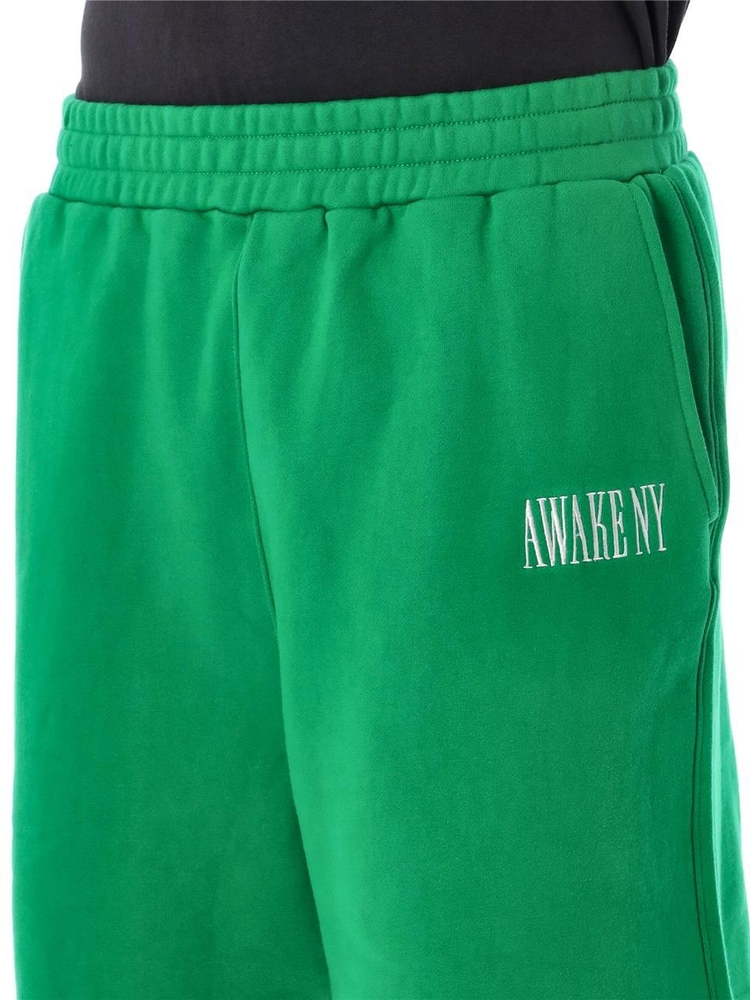 어웨이크 뉴욕 SS24 AWAKE NY Shorts Green AWKSP24PA006FGREEN Green