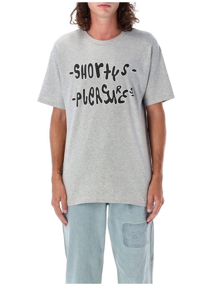 플레져스 FW24 Pleasures T-shirt P24F021GREY Grey