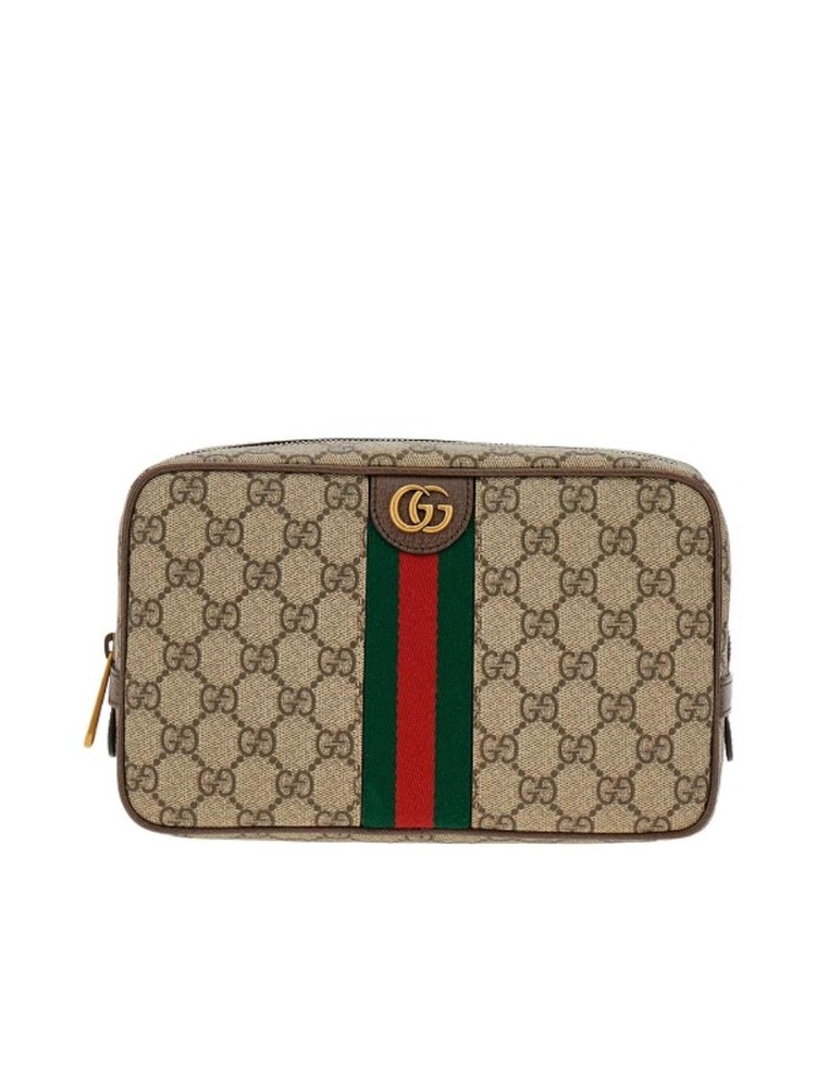 구찌 FW24 GUCCI mini bag 76001996IWT8745-8745 Brown