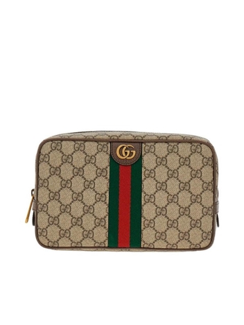 구찌 FW24 GUCCI mini bag 76001996IWT8745-8745 Brown