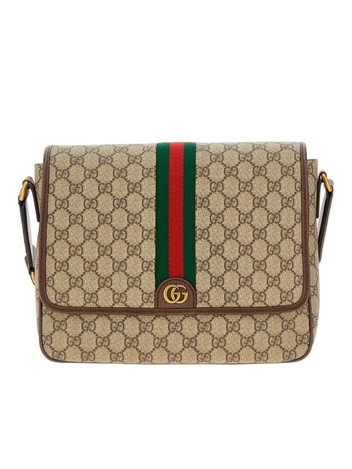 구찌 FW24 GUCCI Ophidia Messenger Bag 761741FACJQ9741-9741 Brown