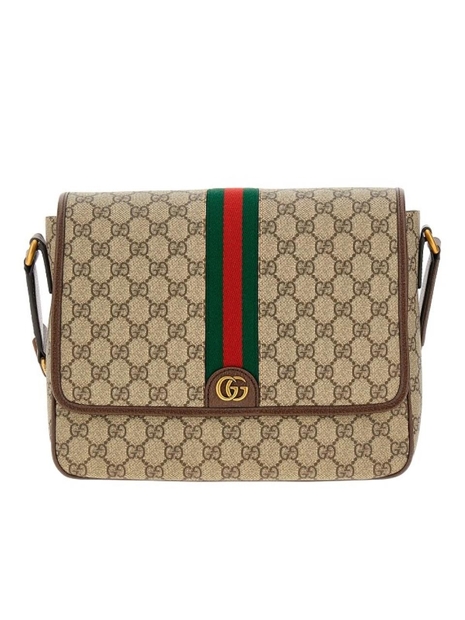 구찌 FW24 GUCCI Ophidia Messenger Bag 761741FACJQ9741-9741 Brown