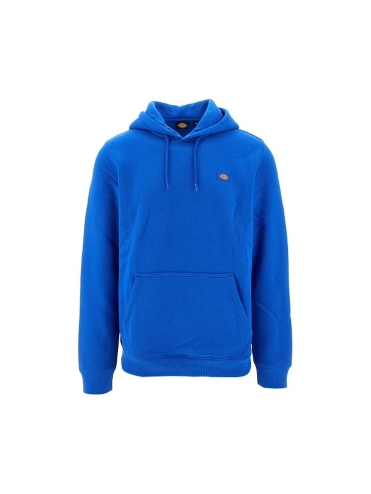 디키즈 FW24 DICKIES HOODIE DK0A4XCD.J531-J531 Blue