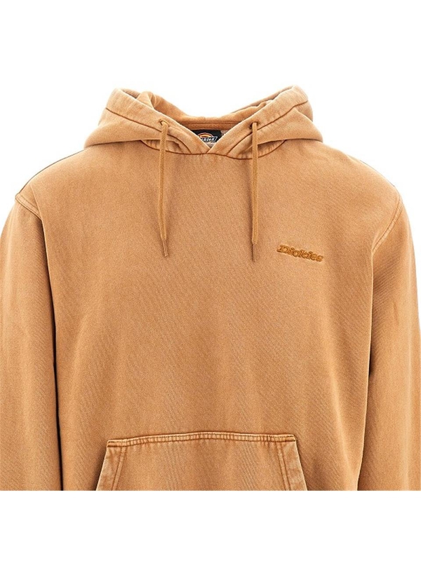 디키즈 FW24 DICKIES HOODIE DK0A866D.0BD1-0BD1 Brown