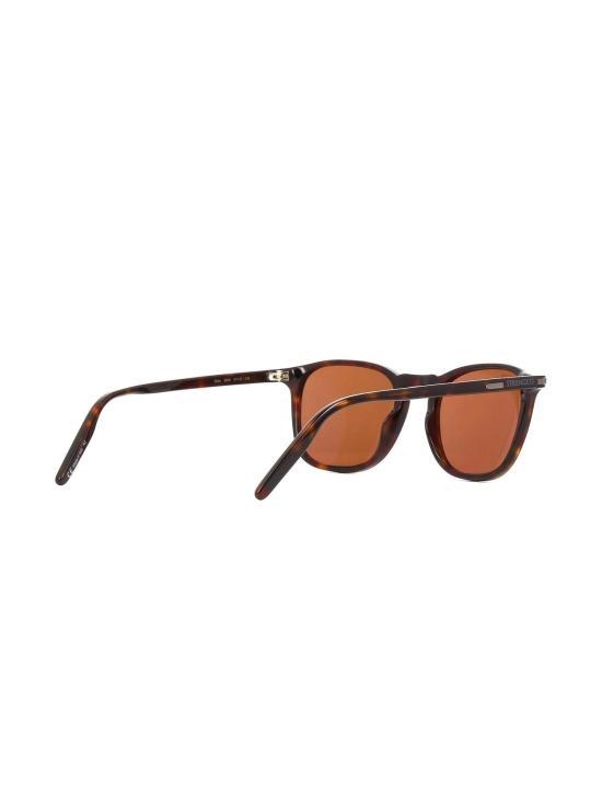 [해외배송] 24FW 세렝게티 선글라스 DELIO SHINY DARK HAVANA MINE DELIO BROWN