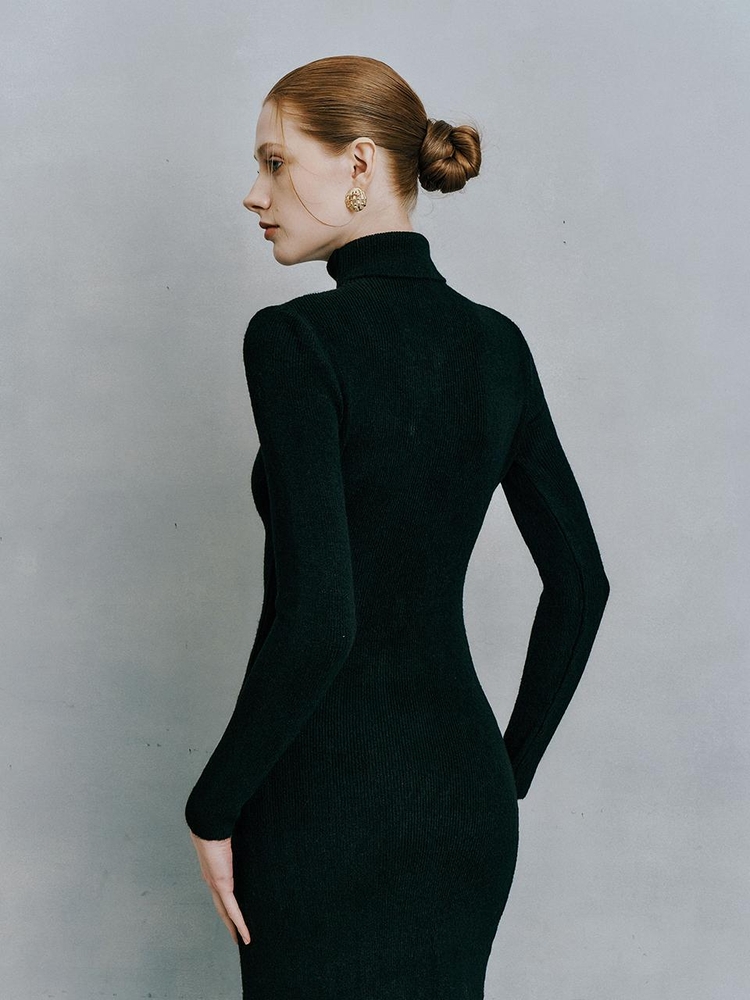 IT_Turtleneck long slim knit dress