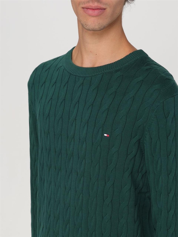 타미 힐피거 FW24 Tommy Hilfiger Mens Sweater MW0MW33132L6K Green