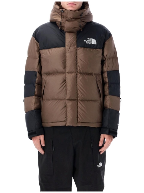 노스페이스 FW24 THE NORTH FACE down jacket NF0A832G5EX SMOKEY BROWN/TNF BLACK