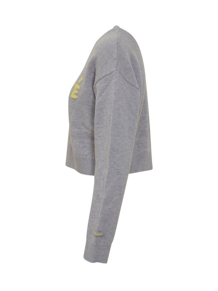 핀코 FW24 PINKO Knitwear 104307A26I IH0 GRIGIO CHIARO/GIALLO