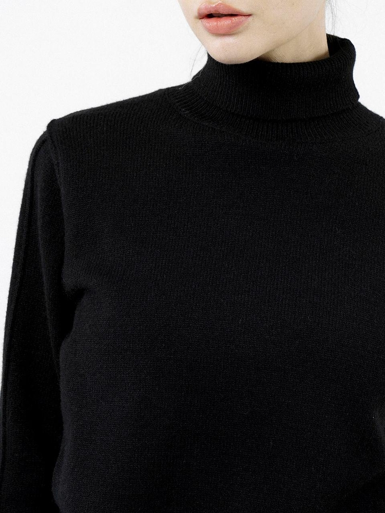 Soft Slit High Turtleneck - Black /W244TP06BK