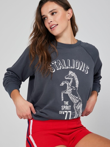 Stallion Of 77 Sommers Sweatshirt | Succulent
