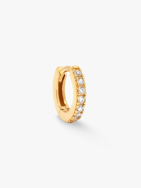 Big Hoop Natural Earring