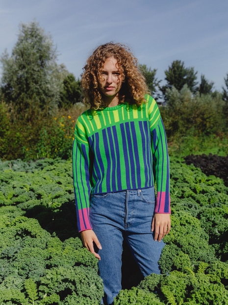 Horizons Cropped Jacquard Cotton Knit Sweater